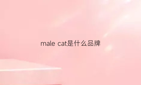 male cat是什么品牌